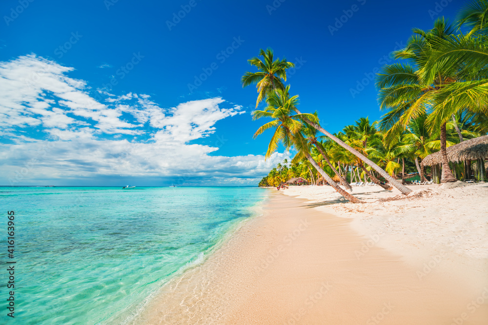 Palm trees on the tropical beach, Dominican Republic, Punta Cana, Saona Island - obrazy, fototapety, plakaty 