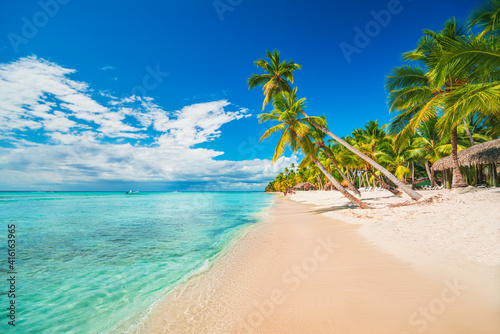 Palm trees on the tropical beach, Dominican Republic, Punta Cana, Saona Island photo