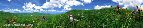 Spring meadow with flowers, green hills, sky with clouds over a meadow with flowers, hills in the grass, 3D rendering