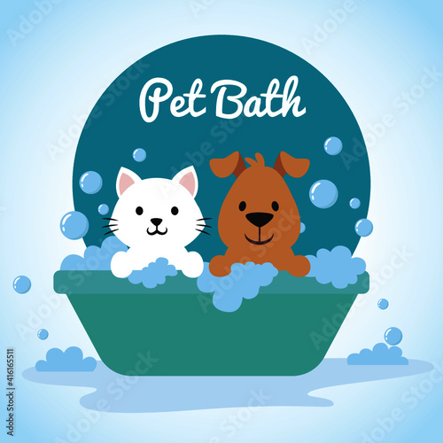 Cute dog and cat bathing