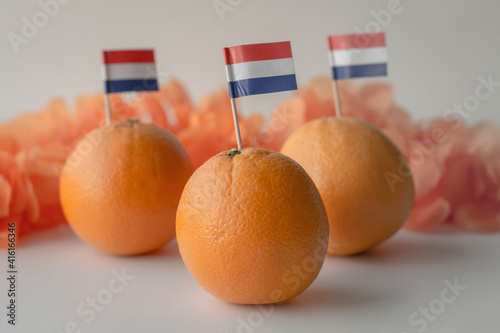 Oranges with Dutch flag and funny eye glasses on white background. Celebration of Dutch traditional king's day - Koningsdag. 27 april.