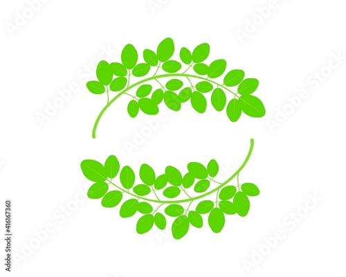 Leaf and nature