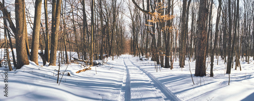 Rural farm winter scenes of the forest and paths with beautiful sun setting skies in Ontario Canada Hinterland