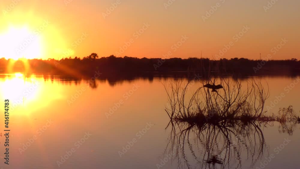 Beautiful Sunset in Florida wetland Beautiful Sunset in Florida wetland
