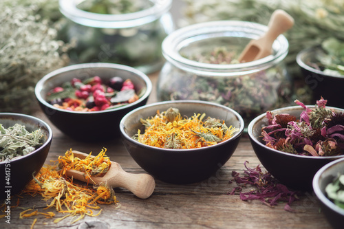 Bowls and jars of dry medicinal herbs on table. Healing herbs assortment. Alternative medicine.