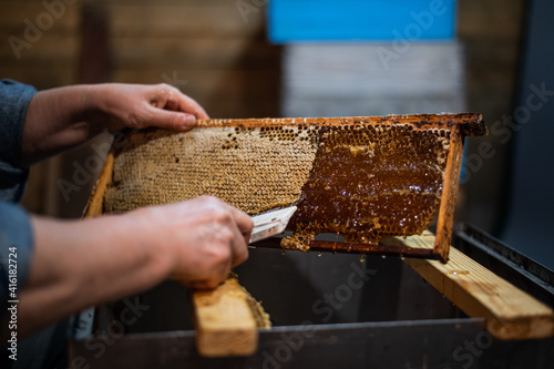 An elderly beekeeper works with frames for honey. Manual labor in the apiary.