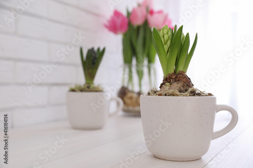 Potted hyacinth flowers and tulips with bulbs on white wooden table. Space for text