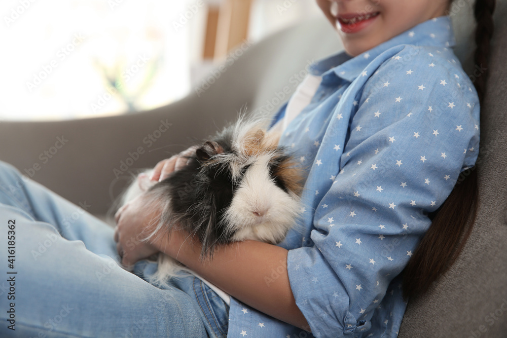 Happy little girl with guinea pig at home, closeup. Childhood pet Happy little girl with guinea pig at home, closeup. Childhood pet