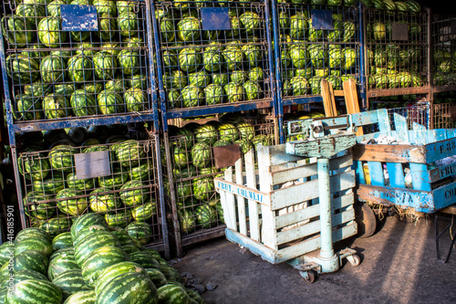 Valokuva Watermelons in the boxes for fruit trade at CEAGESP (Sao Paulo General Warehousi