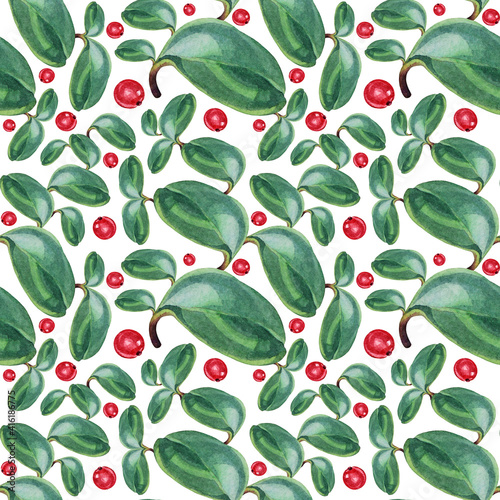 Seamless pattern watercolor green blue succulent leaves and red berry isolated on white background. Art creative object for florist, card, wallpaper, wrapping, sticker, postcard © NatashaKun