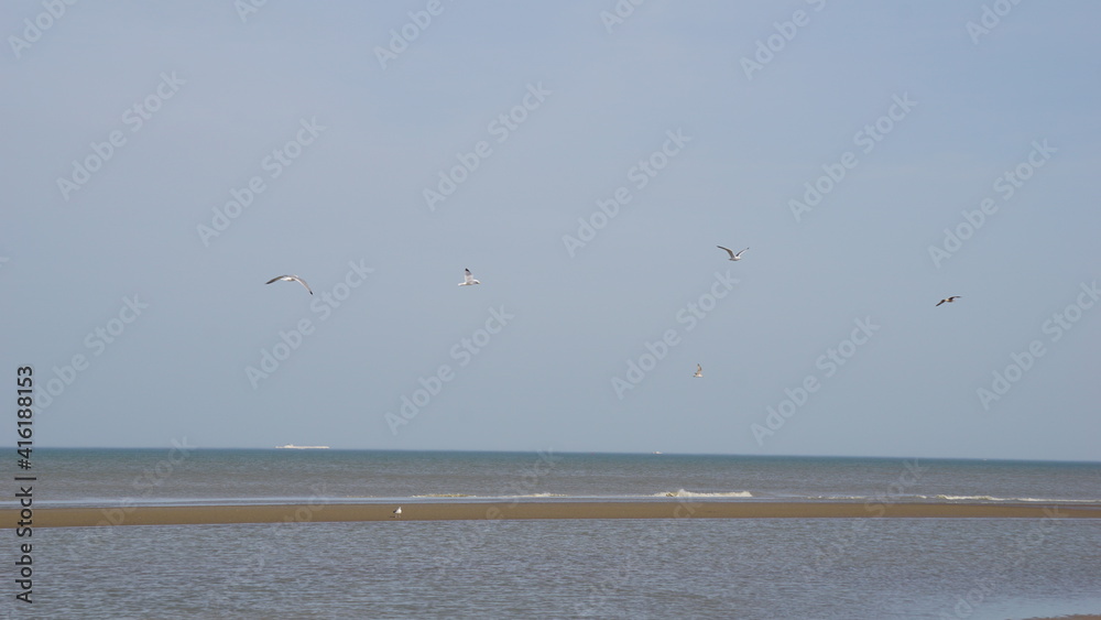 Warm winter days on the beach relaxing and enjoy Warm winter days on the beach relaxing and enjoy
