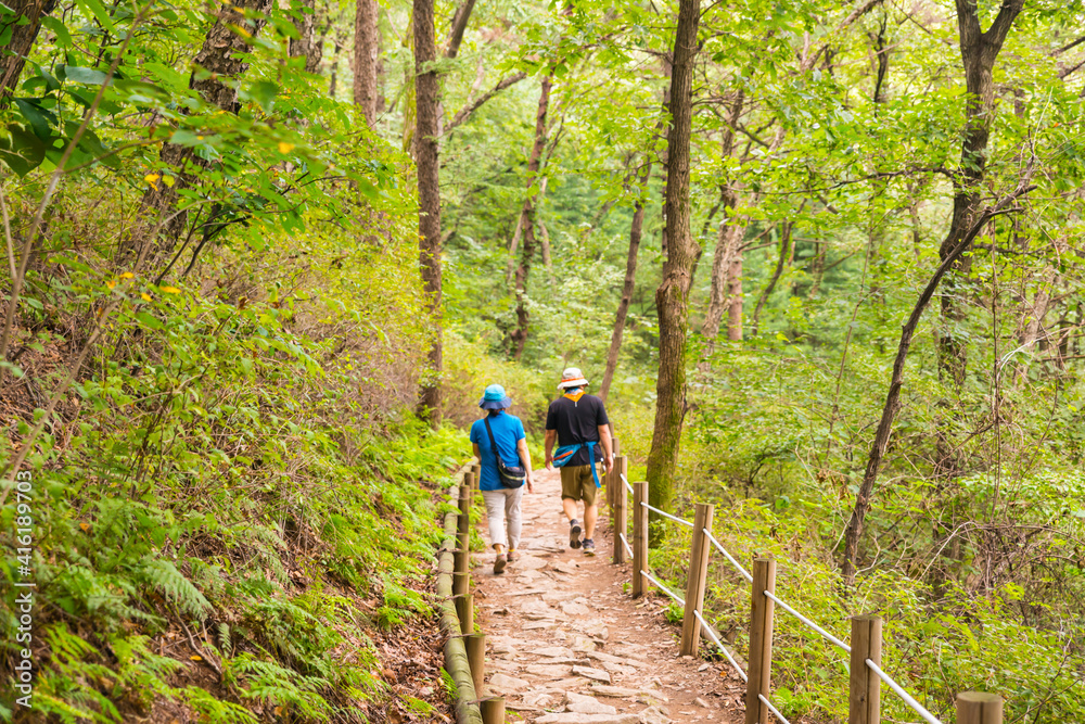 Obraz premium 청계산 산책 