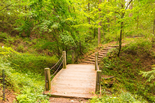 평창 국민의숲
 photo