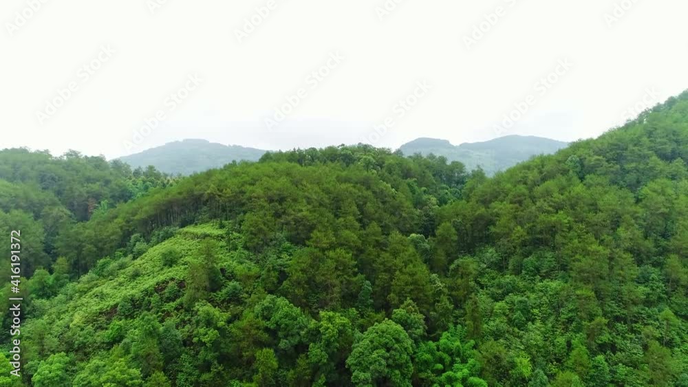 Drone flying upward from a green forest to a rural landscape under mountains Drone flying upward from a green forest to a rural landscape under mountains