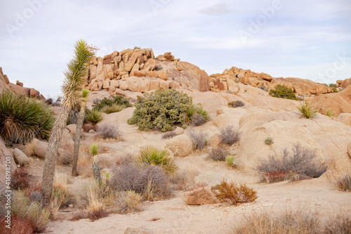 Joshua Tree National Park