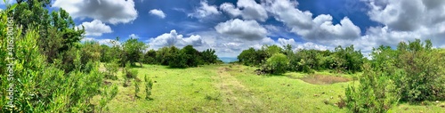 grass and blue sky © Luis