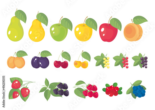 Set of stilized cartoon garden fruits and berries  with leaves isolated. Vector illustration  simbol  icon  logo  stickers  design elements for label  packaging