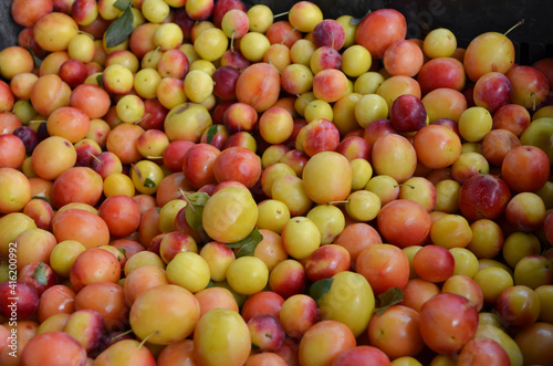 red and yellow plums