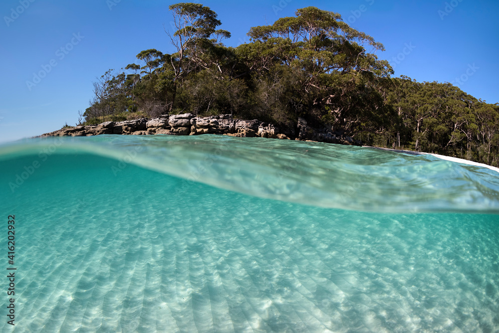 Obraz premium Underwater paradise, Jervis Bay, Australia
