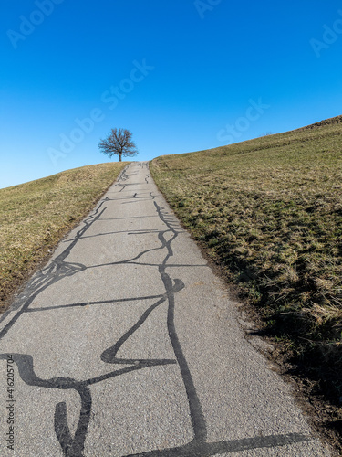 Wanderung bei Singen im Frühling photo