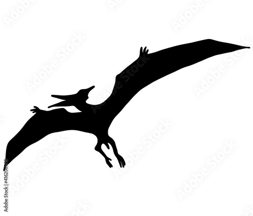大きな翼を持つプテラノドンのシルエット © v_0_0_v