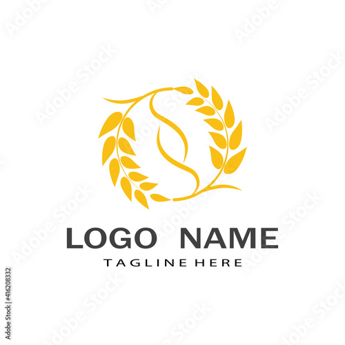 Agriculture wheat vector icon design