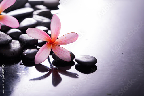 pink frangipani and zen black stones background 