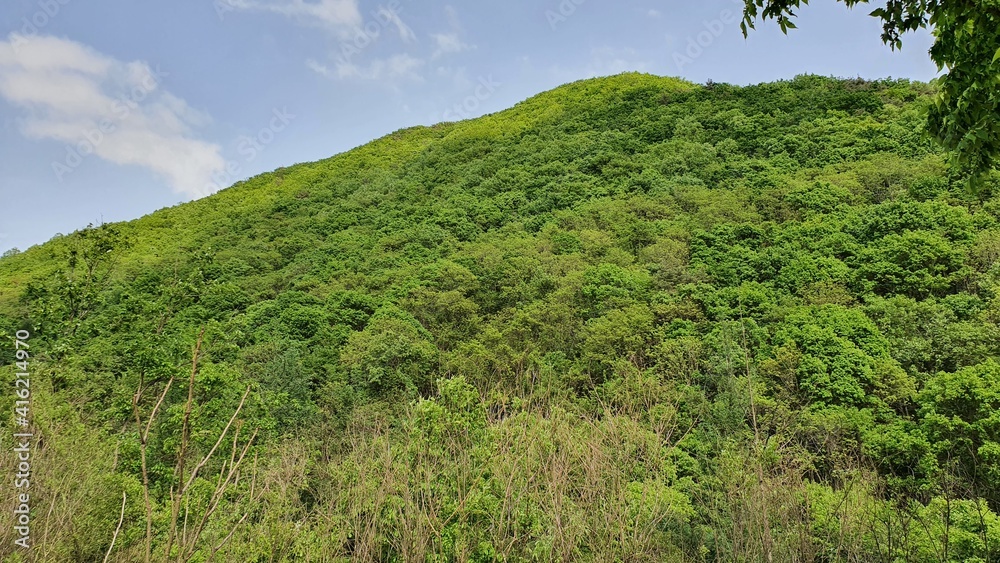These are pictures of the natural scenery such as flowers, trees, and the sea in Korea. These are pictures of the natural scenery such as flowers, trees, and the sea in Korea.