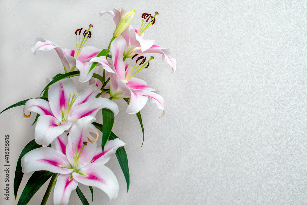 Obraz premium Bouquet of white lilies on white background 