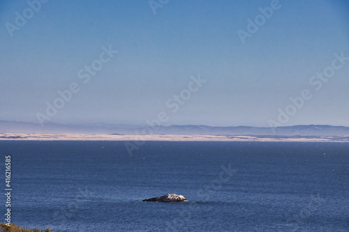 hiking Pirates Cove in Avial Beach California photo