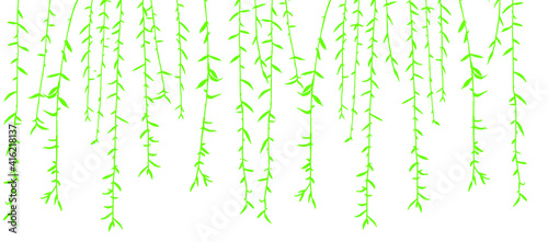 Vector illustration of willow branches with leaves