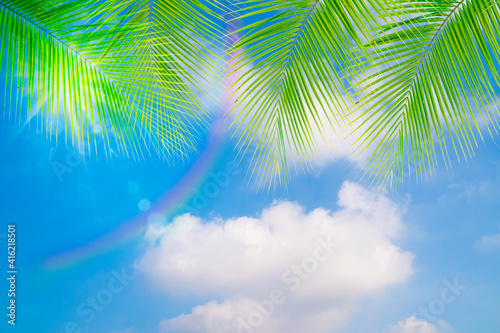 Blue sky background with green coconut palm leaves,relax or holiday season concept