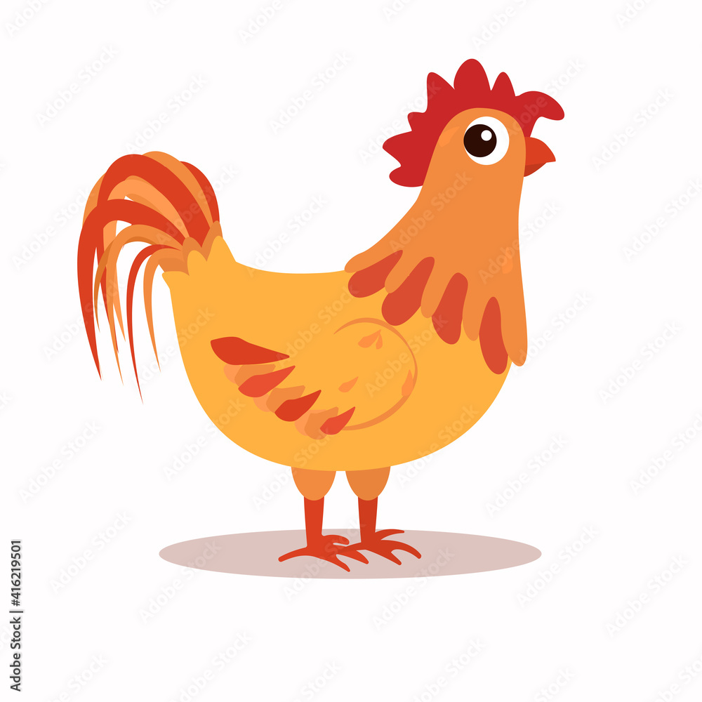 vector illustration of a funny rooster with a frightened look. Isolated on a white background