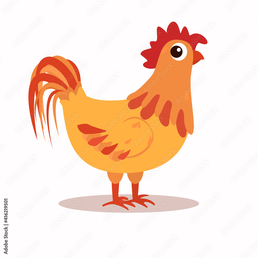 vector illustration of a funny rooster with a frightened look. Isolated on a white background vector illustration of a funny rooster with a frightened look. Isolated on a white background