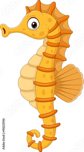 Cartoon seahorse isolated on white background