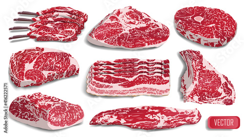 Big set of realistic meat. Cow pork steak grill food beef raw vector illustration