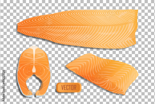 Vector fish salmon fillet and steak. Realistic illustration isolated on transparent background