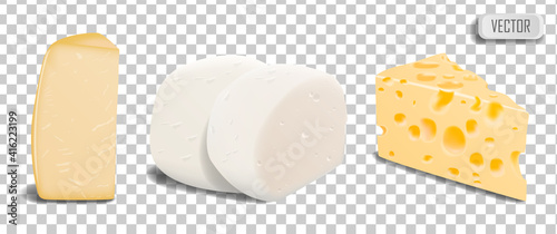 A set of pieces of different types of parmesan cheese, mozzarella and Swiss cheese. Illustration isolated on transparent background