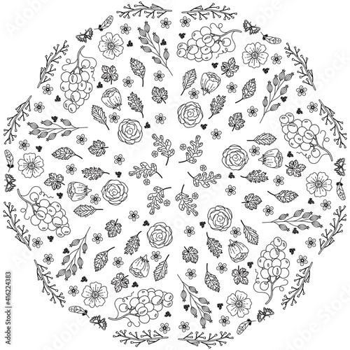 Simple Mandala Shape for Coloring. Vector Mandala. Circular. Flower. Oriental. Coloring Book Page. Outline.
