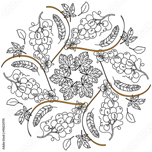 Simple Mandala Shape for Coloring. Vector Mandala. Circular. Flower. Oriental. Coloring Book Page. Outline.

