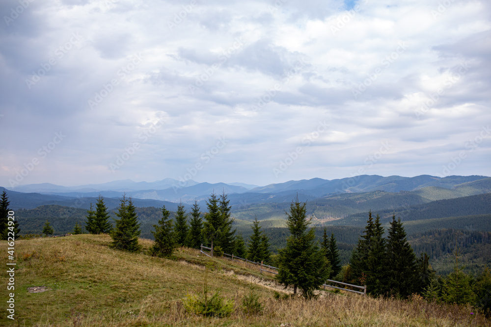 Magnificent view the coniferous forest on the mighty Carpathians Mountains and beautiful cloudy sky background. Beauty of wild virgin Ukrainian nature, Europe. Popular tourist attraction.