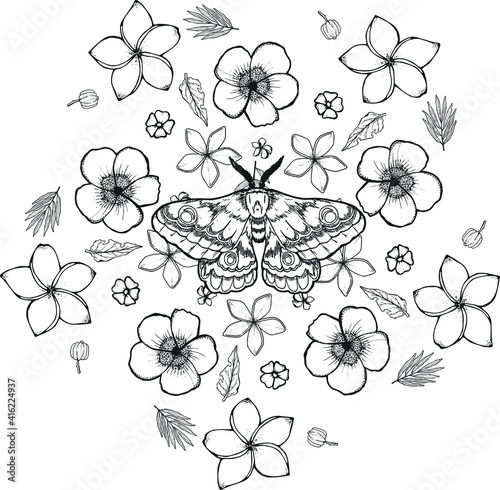 Simple Mandala Shape for Coloring. Vector Mandala. Circular. Flower. Oriental. Coloring Book Page. Outline.
