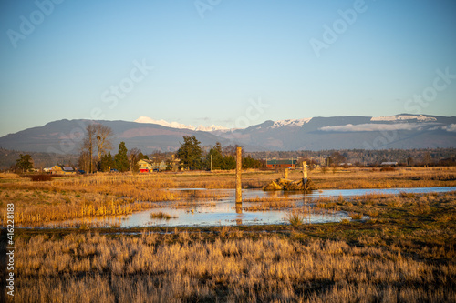 The East 90 - Skagit Wildlife Area Samish Unit photo