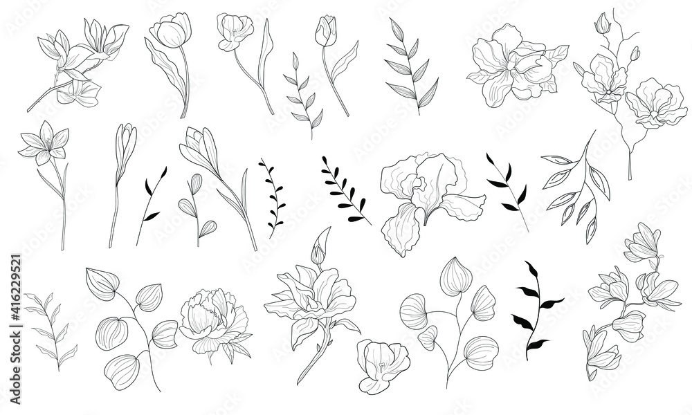 Botanical flower set. Minimal  natural botanical flower art. Vector illustration. Black and white botanical flower poster, card