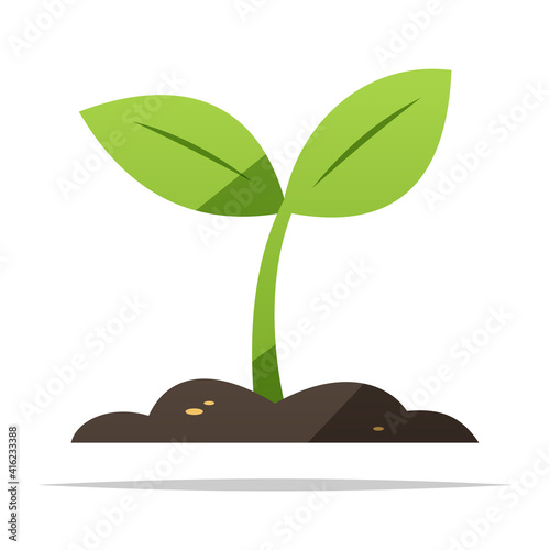 Plant sprout growing vector isolated illustration