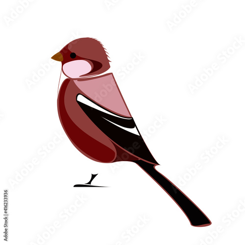 illustration of Long-tailed rosefinch