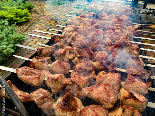 grilled meat on the grill