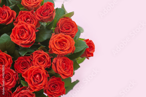 Beautiful bouquet of red roses on light background