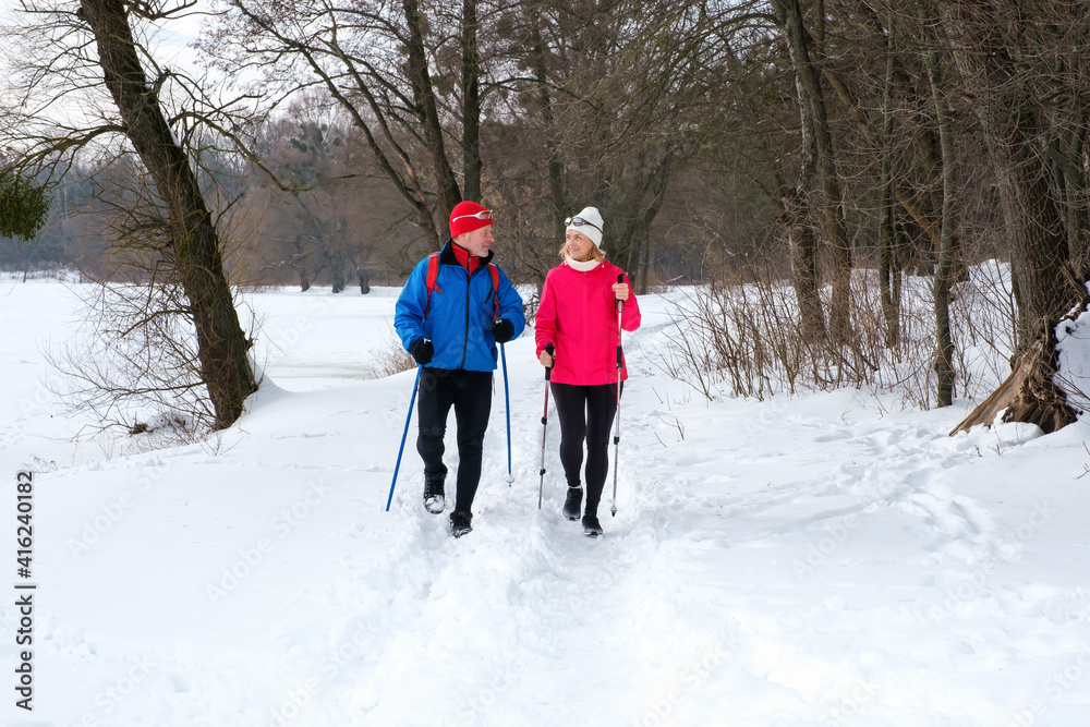 Fototapeta premium Smiling senior couple walking with nordic walking poles in snowy winter forest. Elderly wife and husband doing healthy exercise outdoors. Active lifestyle after retirement concept.