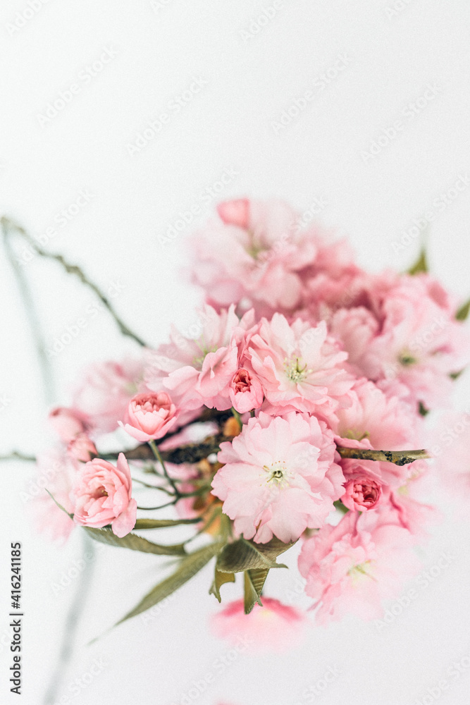 Kirschblüten an einem Ast, isoliert Kirschblüten an einem Ast, isoliert